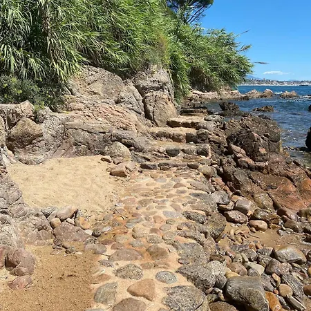 Front De Panoramique Super Cannes Vallauris