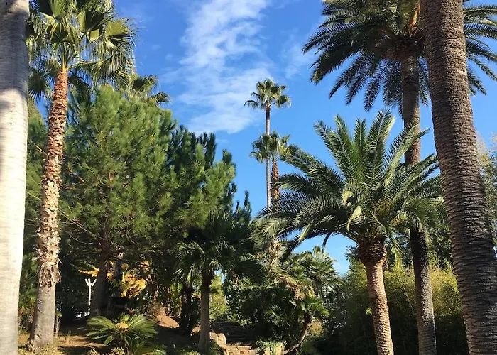 Front De Panoramique Super Cannes شقة فالوريس